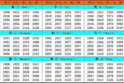 1982屬|1982 年出生属什么生肖